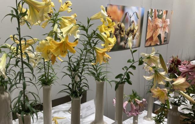 LNDM izstāde "Cēlās lilijas""
